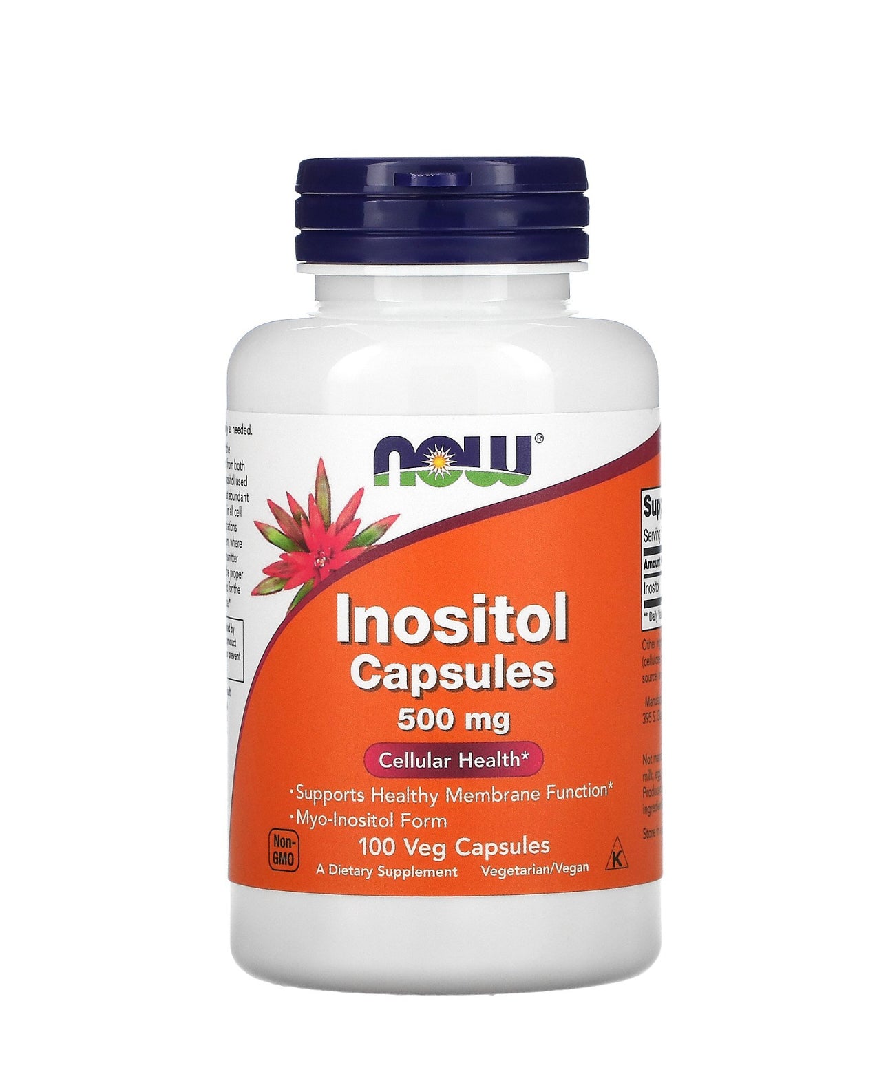 NOW INOSITOL 500 MG