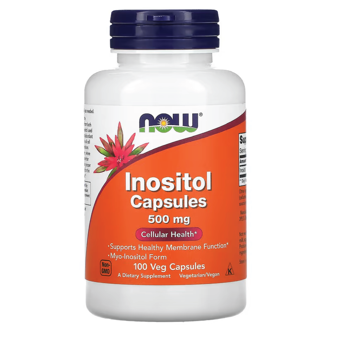 NOW INOSITOL 100 CAP NOW